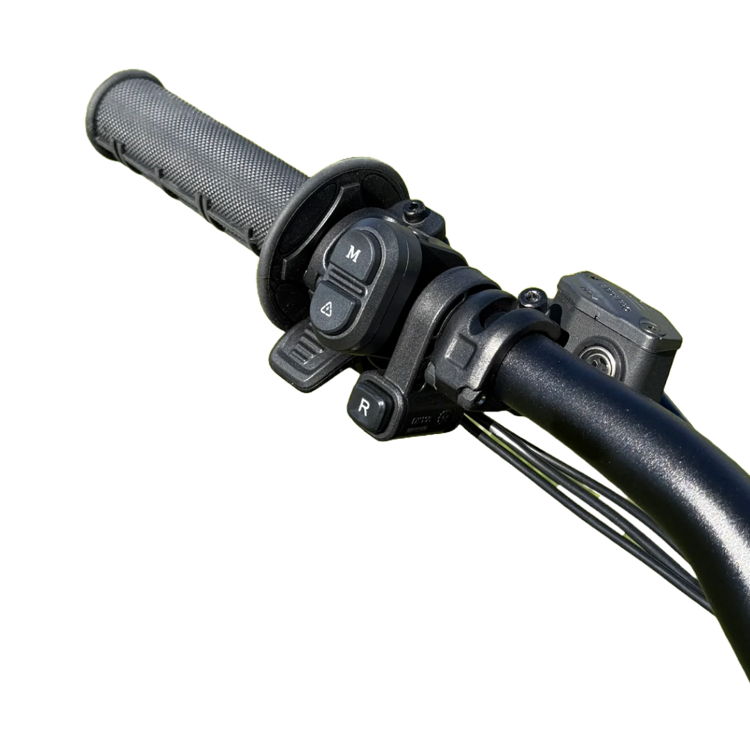 E Ride Pro SR E-Bike for Urban Commuting