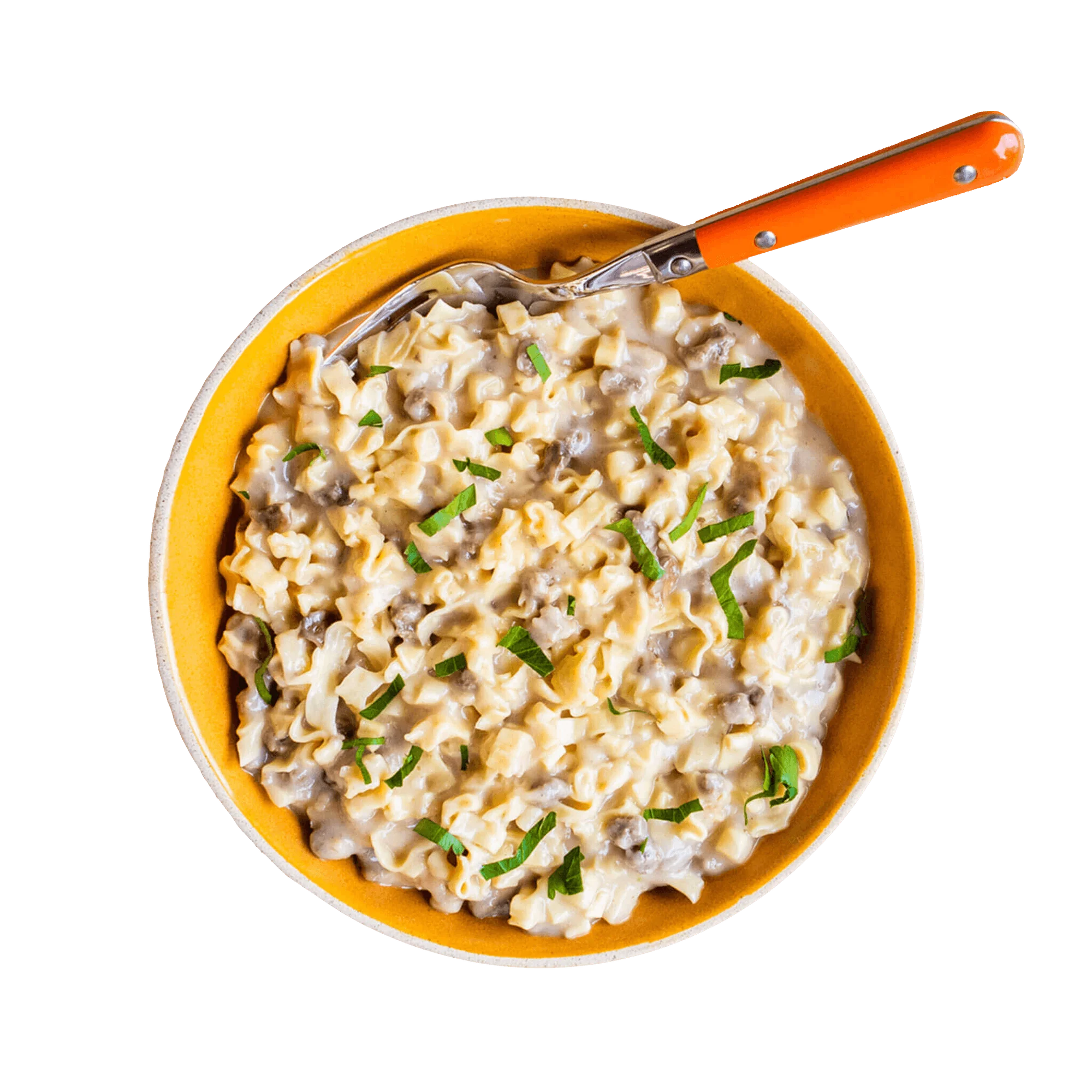 Beef Stroganoff & Egg Noodles Dinner Kit